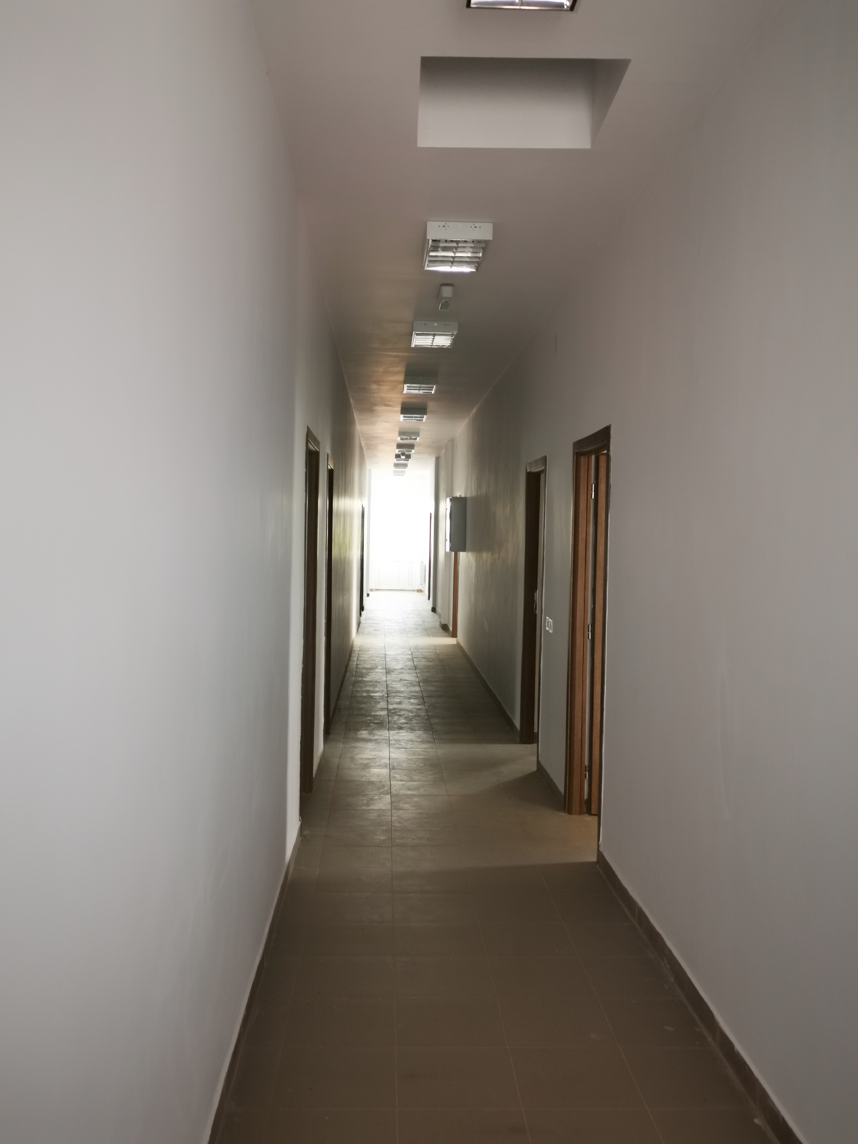Reabilitare internat și cantină școlară, Vlădeni — fotografie 4